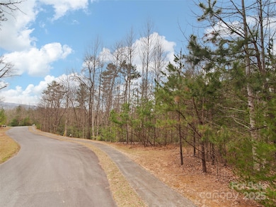 0 Springhouse Trail unit 15 CAR4228686, Brevard, NC 28712 - photo 4