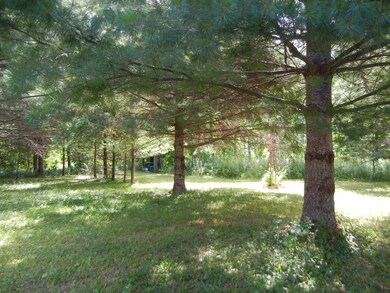 Woods