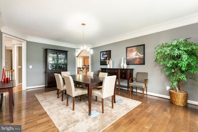 22016 Crested Quail Dr, Ashburn, VA 20148 - photo 5