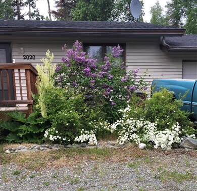 Summer lilac bush