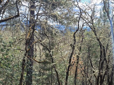 6998 Lower River Rd, Grants Pass, OR 97526 - photo 4