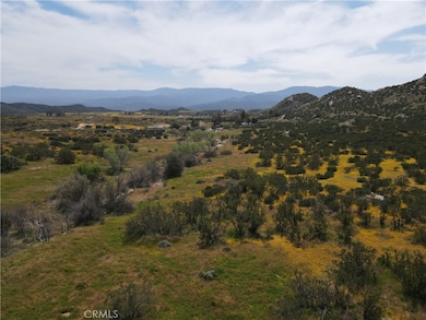 Beautiful vegetation