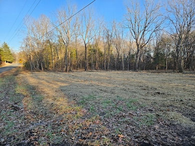 0 Physic Spring Rd, Dillwyn, VA 23936 - photo 6