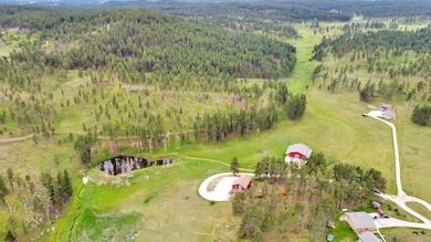 11821 Diamond Rd, Custer, SD 57730 - photo 5