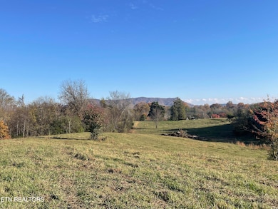 0 Rodgers 30 Acres Rd, Corryton, TN 37721 - photo 3