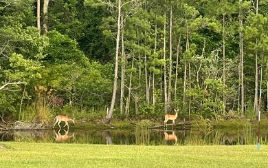 579 SW Zierke Dr, Lake City, FL 32024 - photo 5