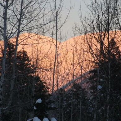 12629 Crane Mountain Rd, Bigfork, MT 59911 - photo 3