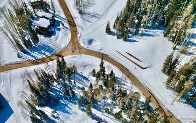 Trails 51 drone 7