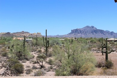 BACKYARD VIEW