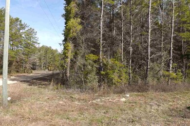 0 Seameadows Dr unit 290583, Perry, FL 32348 - photo 2