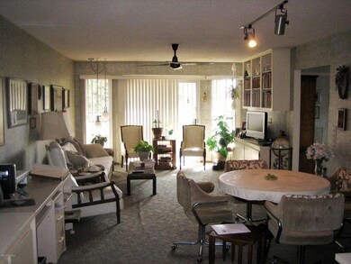 9723 W Calico Dr, Sun City, AZ 85373 - photo 4