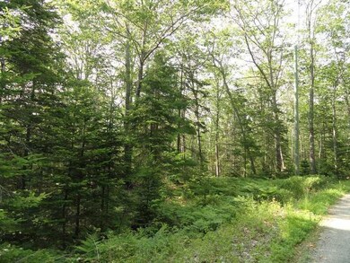 Land/Lot.