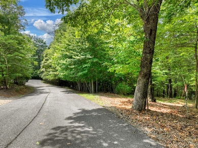 2.27ac River Crest Ln, Mineral Bluff, GA 30559 - photo 3