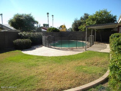 BACKYARD GRASS