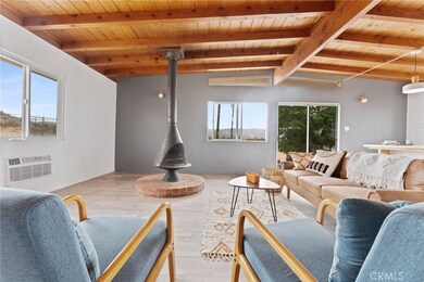 52024 Nehlsen Rd, Johnson Valley, CA 92285 - photo 4