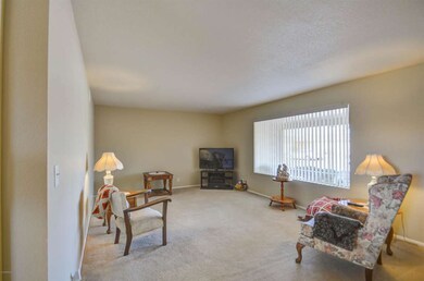 living room-1