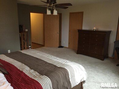 201 Spring Bay Dr, Jacksonville, IL 62650 - photo 3