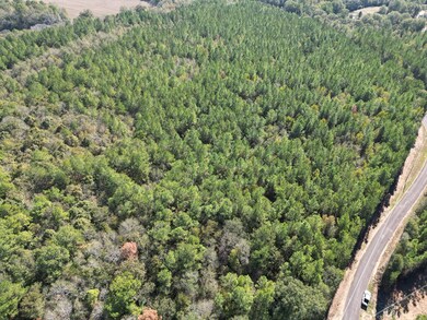 XXX Conerly Dr, McComb, MS 39648 - photo 5