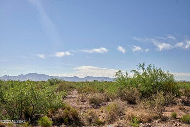 From NW Corner Across Property
