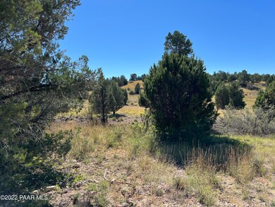 Junipers