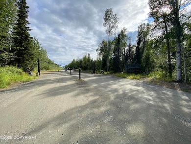 46808 S Merlin Dr, Willow, AK 99688 - photo 2