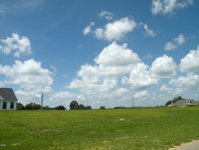 09 Sandra Parker Dr, Lucedale, MS 39452 - photo 4