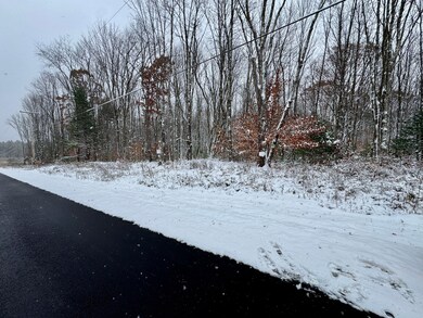 0 Preston Hill Rd, Camden, NY 13316 - photo 6