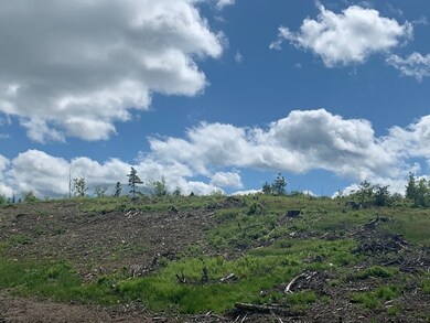 3 Gannon Rd, Lyman, NH 03585 - photo 7