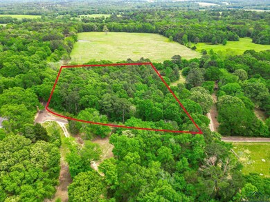 TBD Giraffe Rd, Gilmer, TX 75644 - photo 4