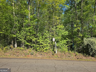 LOT 19 Smith Rd, Thomaston, GA 30286 - photo 2