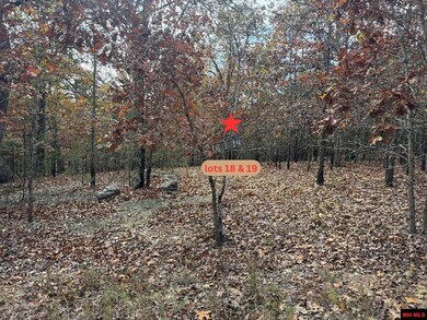 002-11055-016 Buckhead Ln, Mountain Home, AR 72653 - photo 4