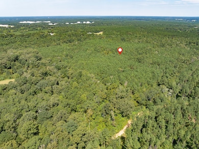 00 Mississippi 588, Collins, MS 39428 - photo 6