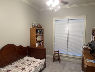 4198 Iota Hwy, Egan, LA 70531 - photo 7