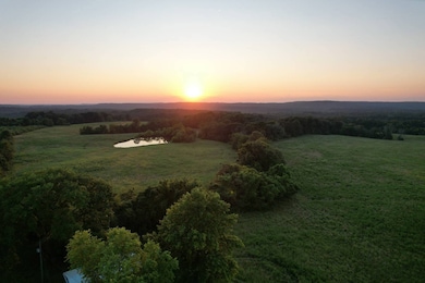 79 Coon Hunters Rd, Golconda No. 2 Precinct, IL 62938 - photo 3