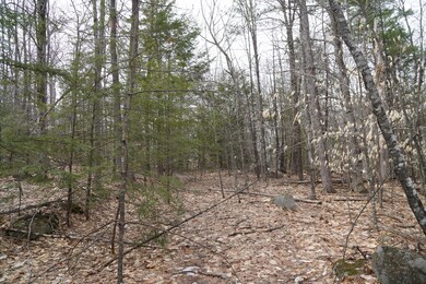 DSC06197-1