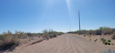 000 SW Majestic View Rd, Deming, NM 88030 - photo 4