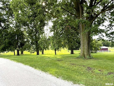 101 S Station St, Altona, IL 61414 - photo 3