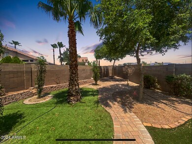 Paradise backyard