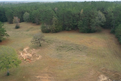 Lot 4-C-2-A Louisiana 421, Saint Francisvle, LA 70775 - photo 3