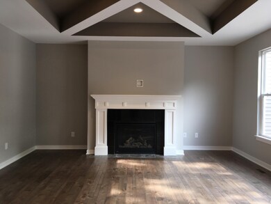 Gas fireplace