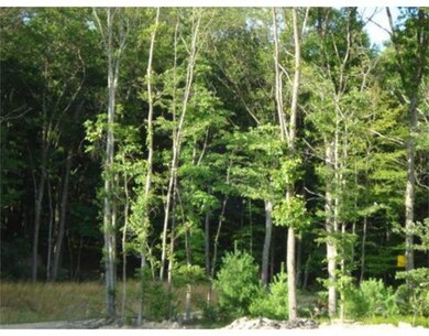 2 Gibson Way, Stoughton, MA 02072 - photo 4