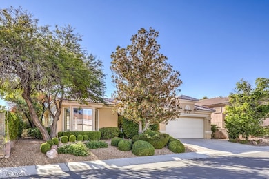 10551 Mandarino Ave, Las Vegas, NV 89135 - photo 7