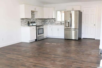 4295 Genoa St, Denver, CO 80249 - photo 4