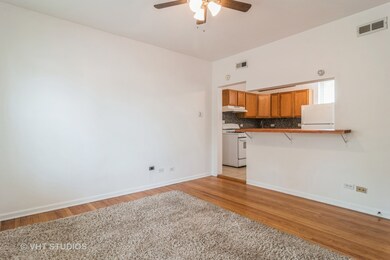 5541 W Barry Ave unit 1, Chicago, IL 60641 - photo 6