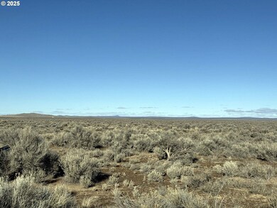 0 Kna Rolfs Point Rd unit TL4300 677241032, Christmasvalley, OR 97641 - photo 6