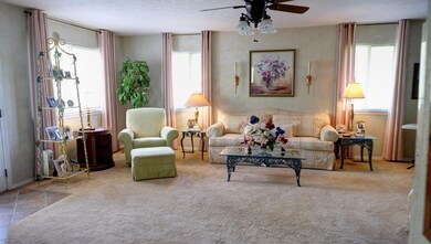 165 Canyon Forest Way, Kimberling City, MO 65686 - photo 3