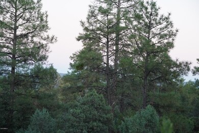 DSC01210