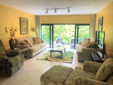 Living area with garden view