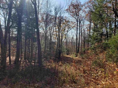 0 Howard Rd, Bridgewater, NH 03222 - photo 5