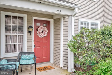 203 Barrington Ct, Palmyra, PA 17078 - photo 4